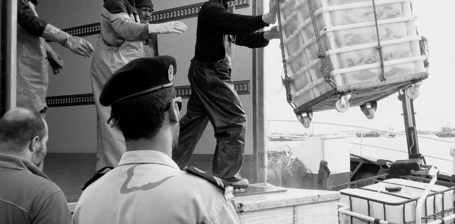 Les pays membres de la COMHAFAT vers l’harmonisation des contrôles portuaires