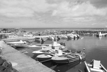 Les perspectives économiques des filières pêche et aquaculture de l’Outre-Mer français