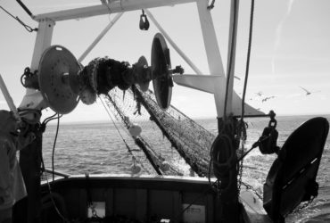 Study on the emissions of greenhouse gas by the French fishing fleet